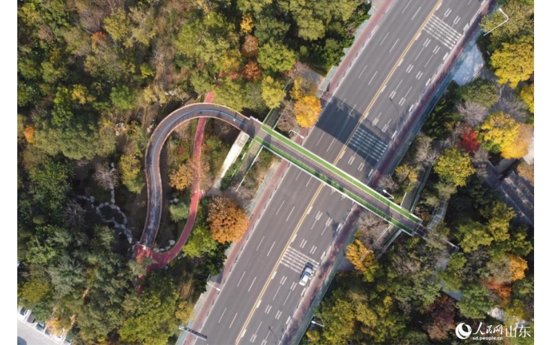 行進中國丨青山入城記